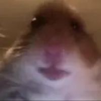 esromhabtemichael2