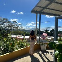 xsjj._