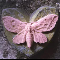 original sound - g.g.9.99