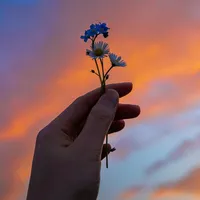 original sound - st_tam.trang_buon