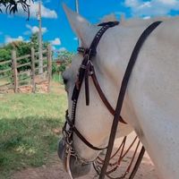 anibal.g.l.701.oficial