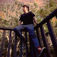 zarkogreen1