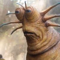 tarnishedamongus
