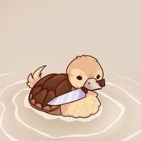 the_awkward_turtleduck