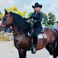 medinasevilla1