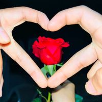 rosa.coj3
