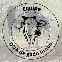 eqp_dna_degadobrabo