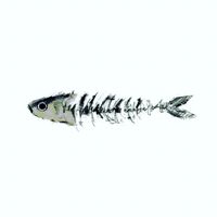 fishiibo