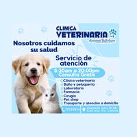 vet.animal.urban