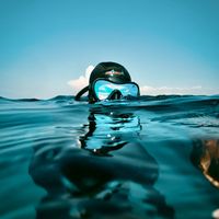 suara asli - Mr.Banggi