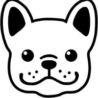 nhạc nền - Hi French Bulldog