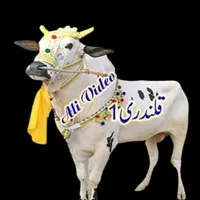 original sound - bullracer12