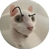 original sound - norwegianspeedup