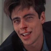 benicio_del_toro_fan