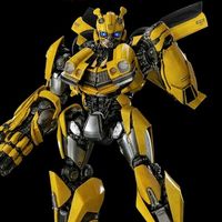 megabumblebee125