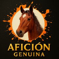 original sound - Afición Genuina