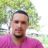 lucaspricinotepinheiro