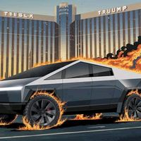 danicorreria22691154