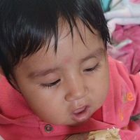 granjaporcinaloschintos