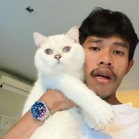 เสียงต้นฉบับ - นารา โส