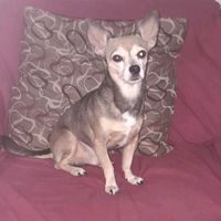 aventurasdemanchitas