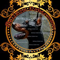 bellezadoberman