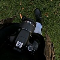 zeib56