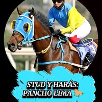 kevinjhoseflimamarcas1