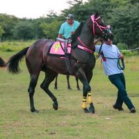 salazar0234