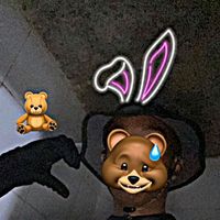 dy.lizjk