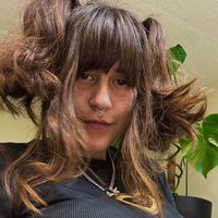 let me drive my van into your heart