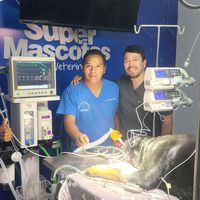 veterinariasupermascotas