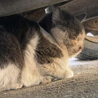 oozzh_shans_na_zhizn