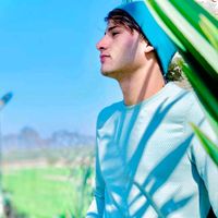 الصوت الأصلي