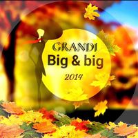 .big.big6