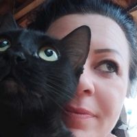 gatinhos.da.paty