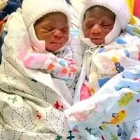 docteur_marcos_divine