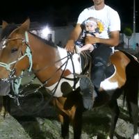 gilmar.santos9983