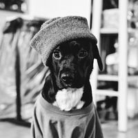 ___tobiiii