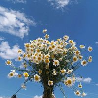 suara asli - Khairunnisa_