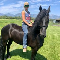skalkaho_stables