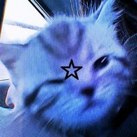 estrela_magic