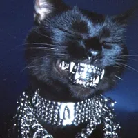 original sound - trumaxinevibes