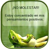 elseriecito7