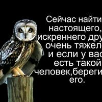 оригинальный звук