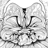 เสียงต้นฉบับ - 🔥Beast🔥