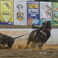 caio___andrade___