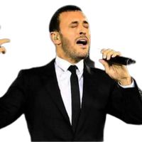 الصوت الأصلي