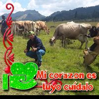 carlosromero5016