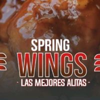 springwings_uio